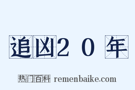 追凶20年是什么意思的图片